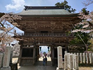 筑波山神社はどんなご利益があるパワースポット？属性は？